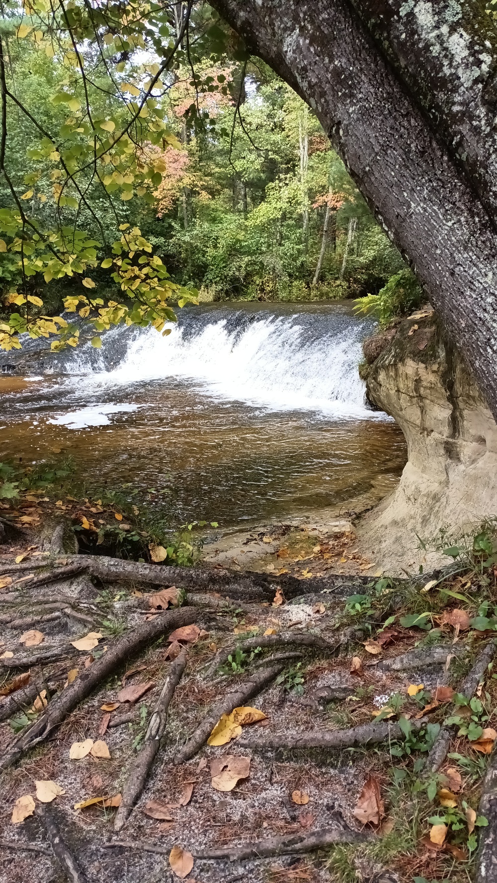 Fall colors 2023 at Trout Falls in Fort McCoy's Pine View Recreation Area