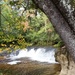 Fall colors 2023 at Trout Falls in Fort McCoy's Pine View Recreation Area