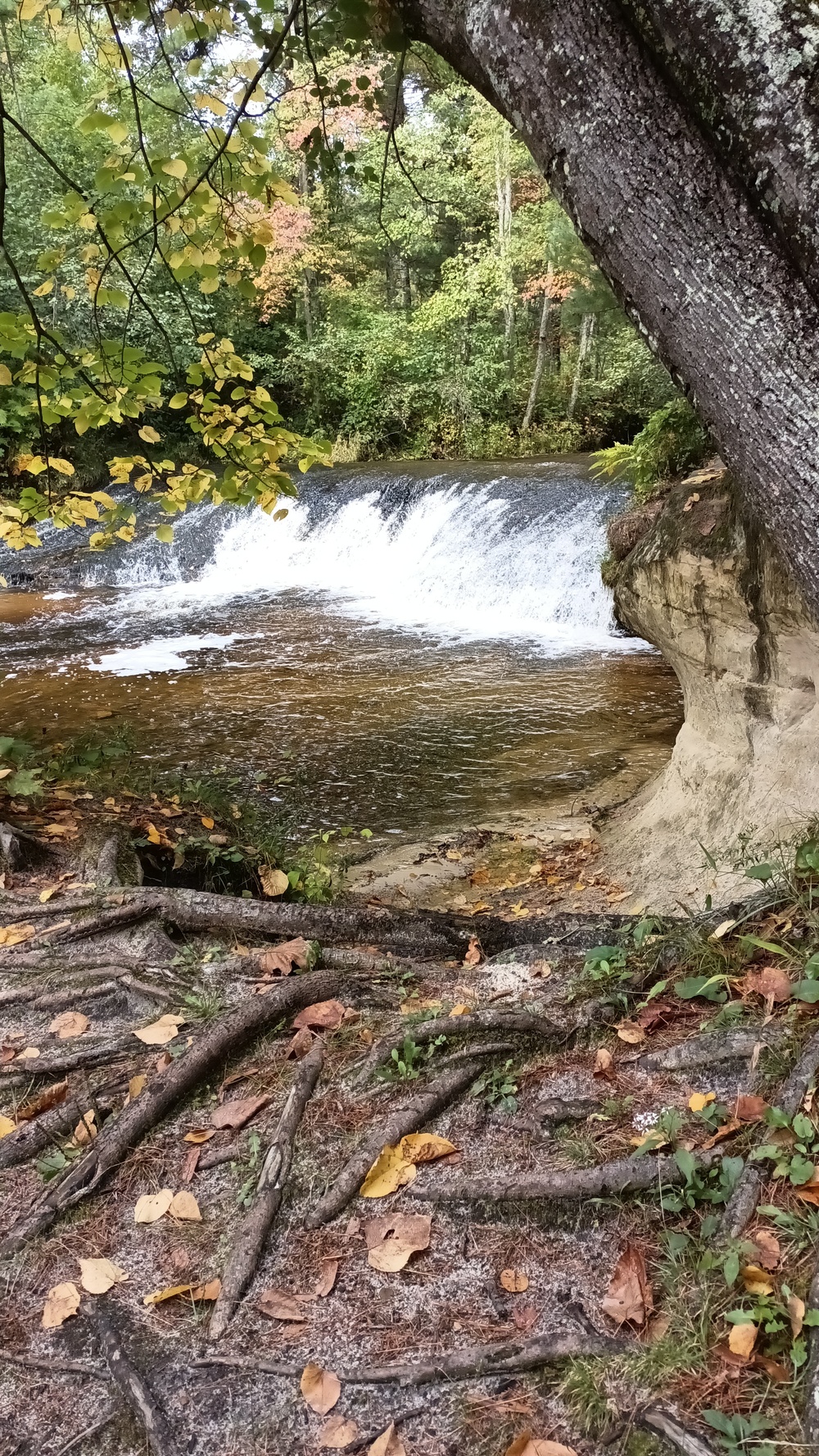 Fall colors 2023 at Trout Falls in Fort McCoy's Pine View Recreation Area