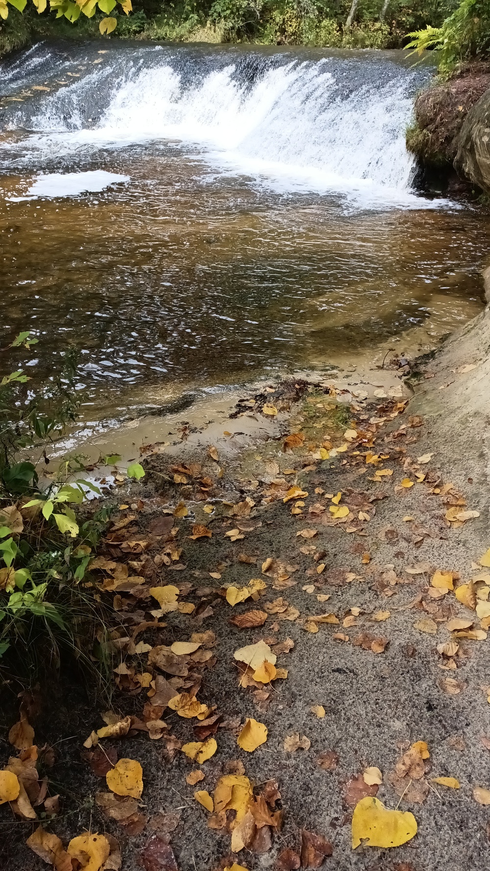 Fall colors 2023 at Trout Falls in Fort McCoy's Pine View Recreation Area