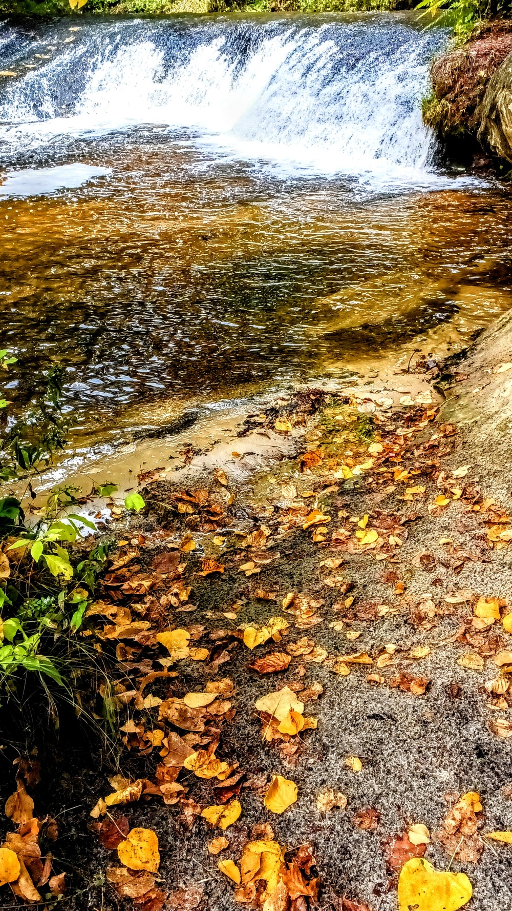 Fall colors 2023 at Trout Falls in Fort McCoy's Pine View Recreation Area