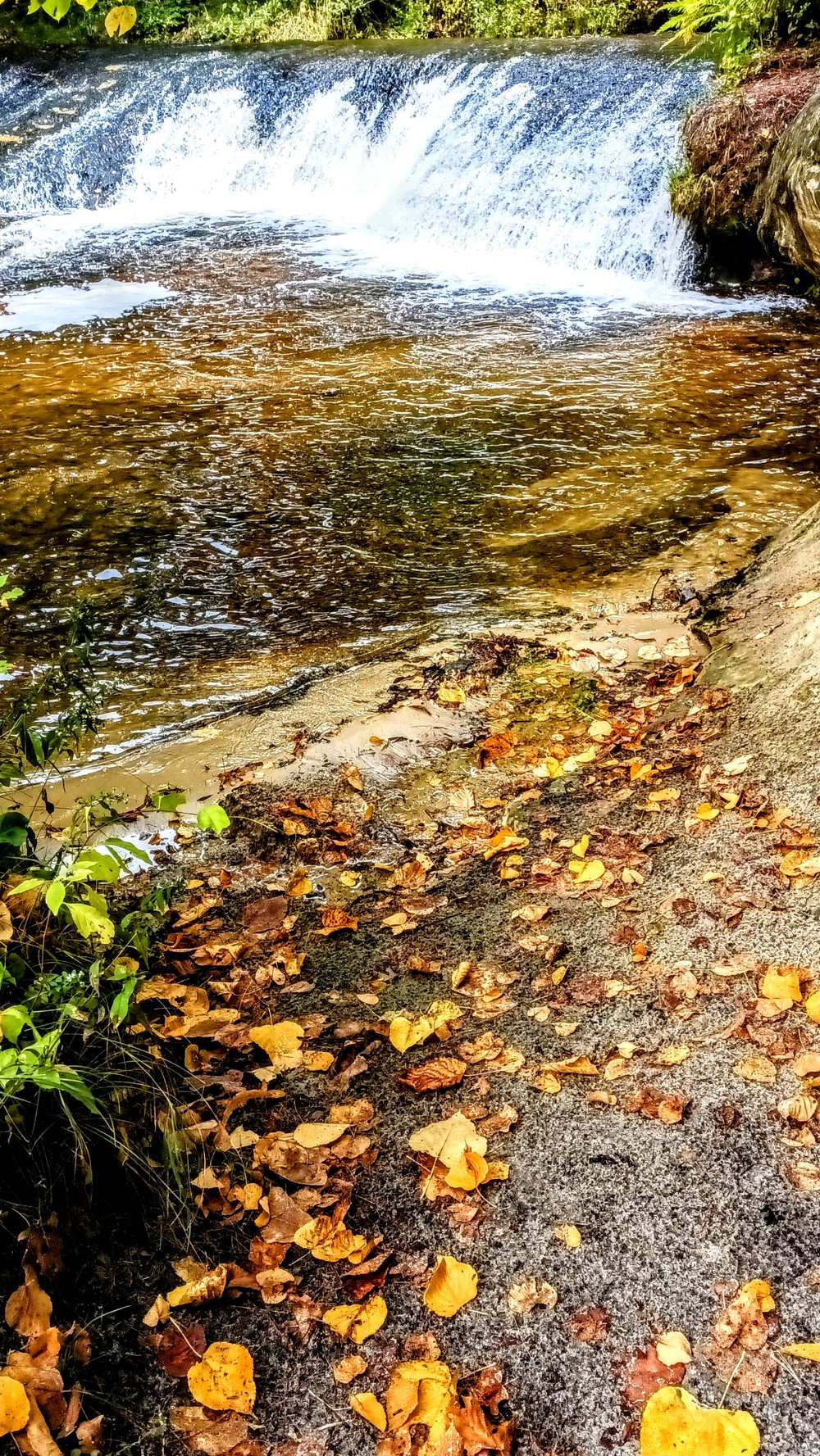 Fall colors 2023 at Trout Falls in Fort McCoy's Pine View Recreation Area