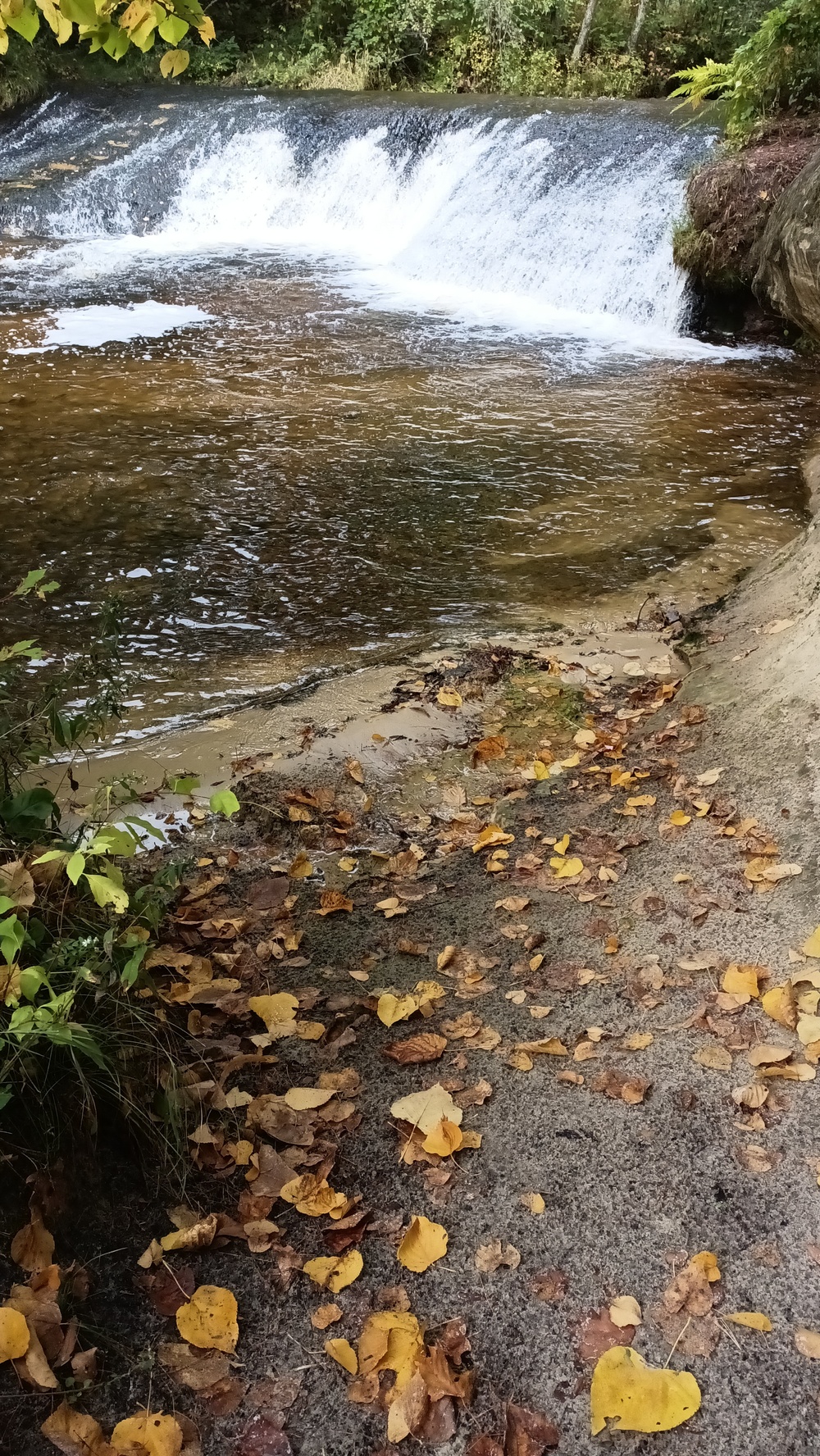 Fall colors 2023 at Trout Falls in Fort McCoy's Pine View Recreation Area