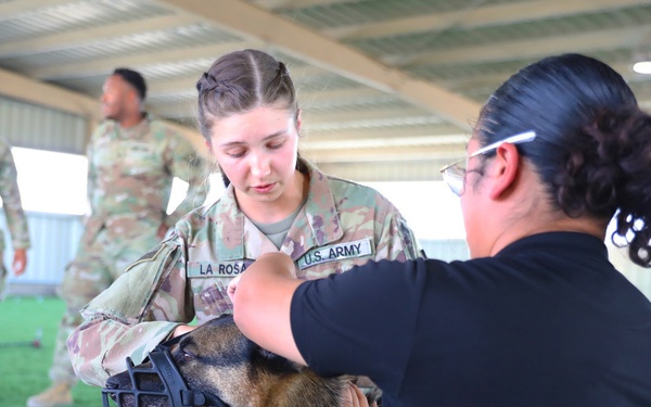 185th AVN BDE medics conduct Military Working Dog casualty training
