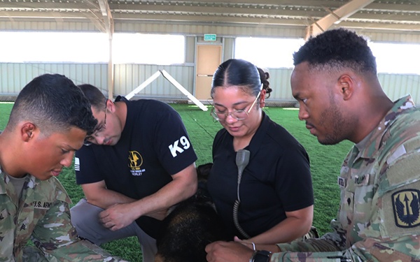 185th AVN BDE medics conduct Military Working Dog casualty training