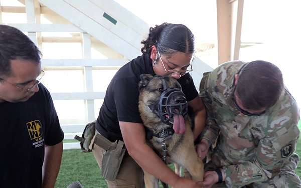 185th AVN BDE medics conduct Military Working Dog casualty training
