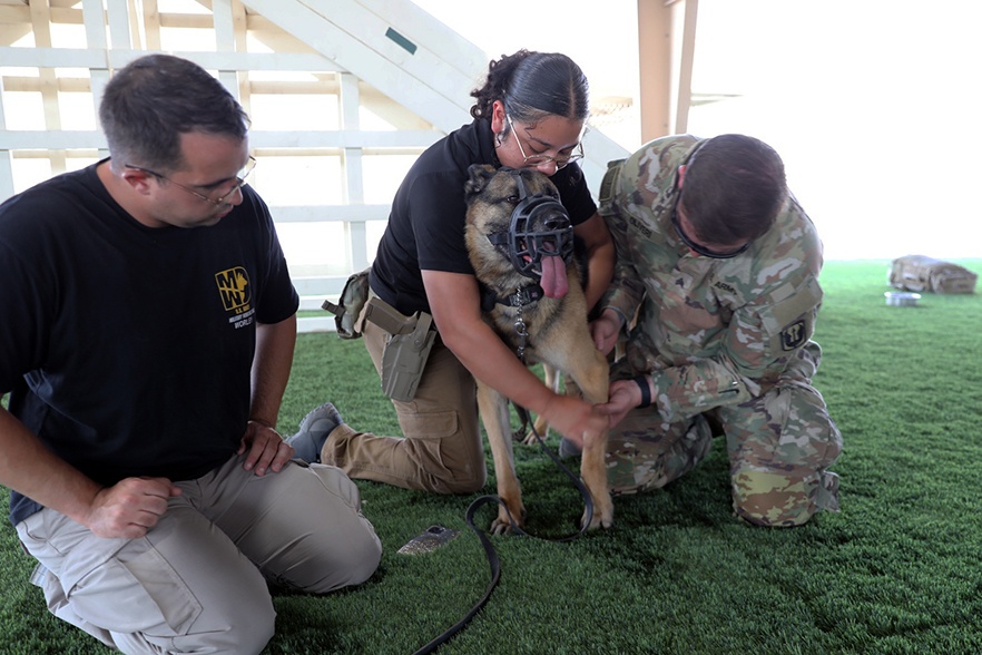 185th AVN BDE medics conduct Military Working Dog casualty training