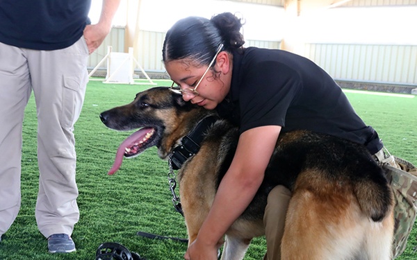 185th AVN BDE medics conduct Military Working Dog casualty training