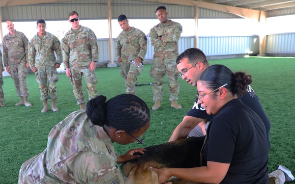 185th AVN BDE medics conduct Military Working Dog casualty training