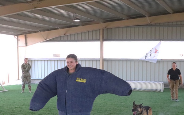 185th AVN BDE medics conduct Military Working Dog casualty training