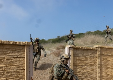 Valiant Mark 2023: Amphibious Assault Exercise