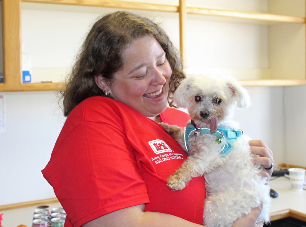 Therapy dogs visit Hawaii Wildfire Recovery Field Office in Kihei, Hawai‘i