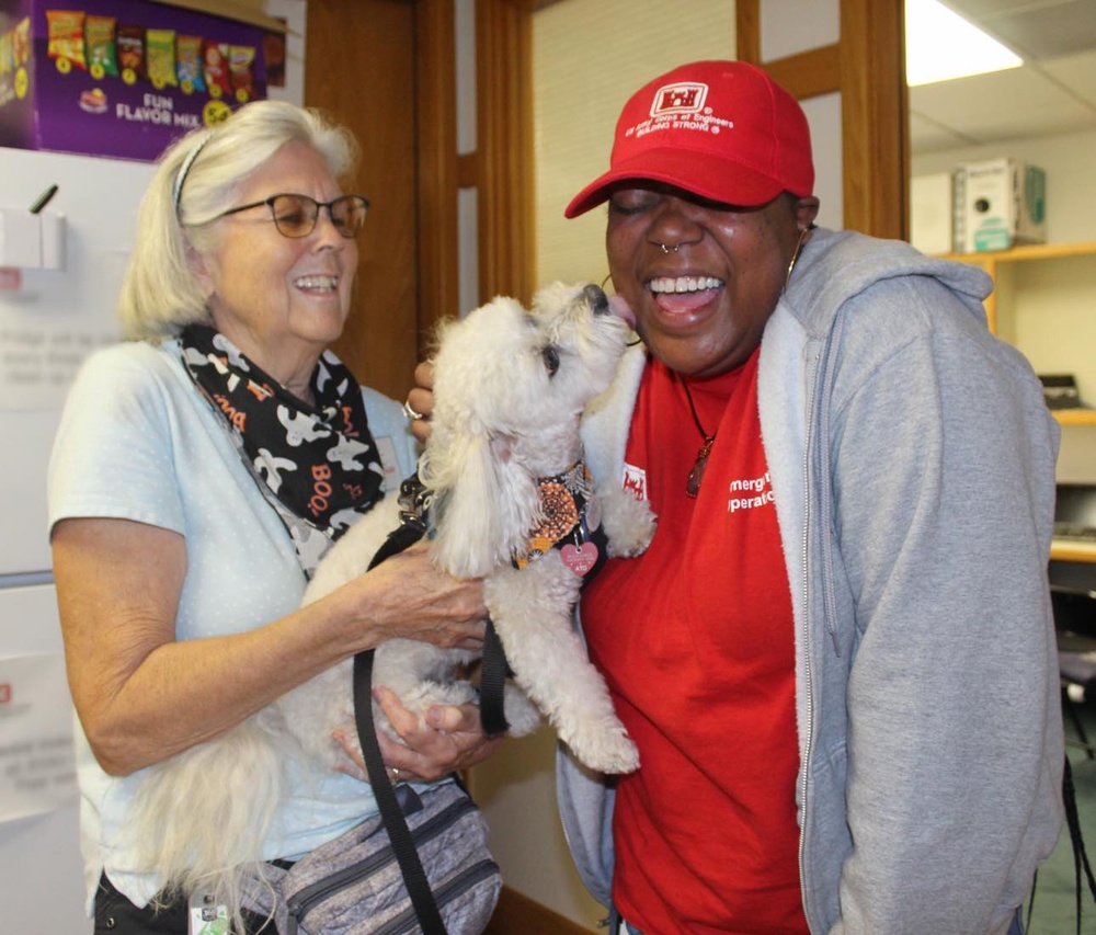 Therapy dogs visit Hawaii Wildfire Recovery Field Office in Kihei, Hawaii