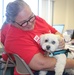 Therapy dogs visit Hawaii Wildfire Recovery Field Office in Kihei, Hawai‘i