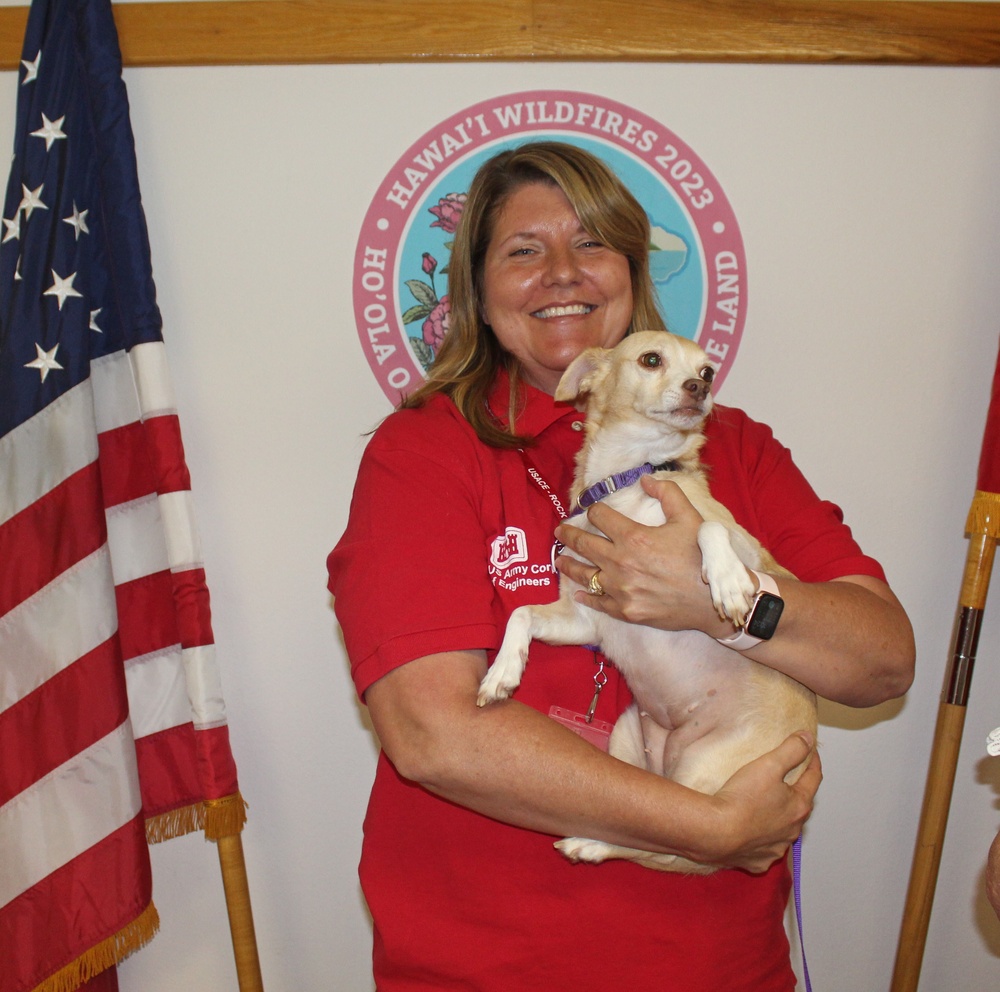 Therapy dogs visit Hawaii Wildfire Recovery Field Office in Kihei, Hawai‘i