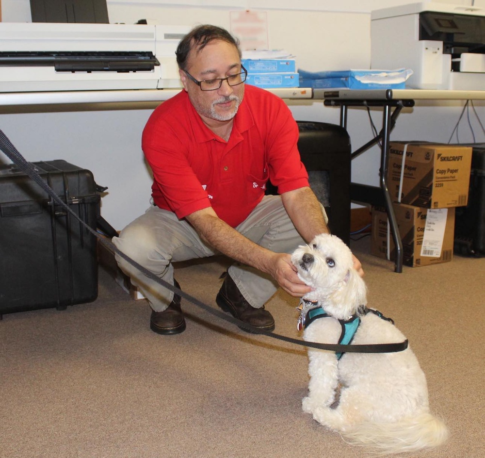 Therapy dogs visit Hawaii Wildfire Recovery Field Office in Kihei, Hawai‘i