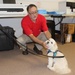 Therapy dogs visit Hawaii Wildfire Recovery Field Office in Kihei, Hawai‘i