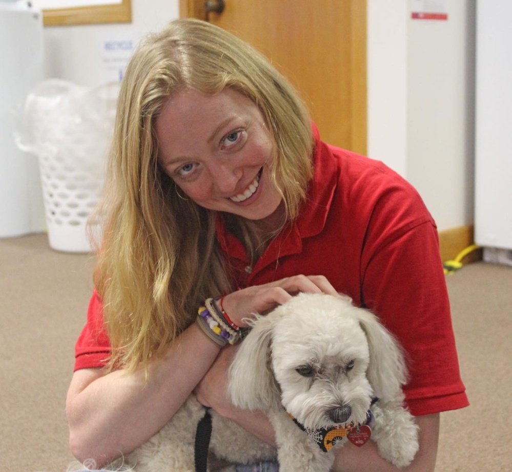 Therapy dogs visit Hawaii Wildfire Recovery Field Office in Kihei, Hawai‘i