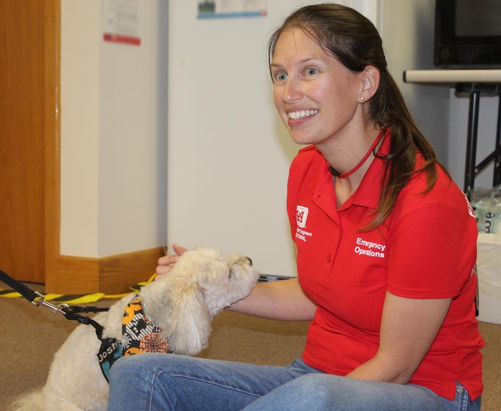 Therapy dogs visit Hawaii Wildfire Recovery Field Office in Kihei, Hawai‘i