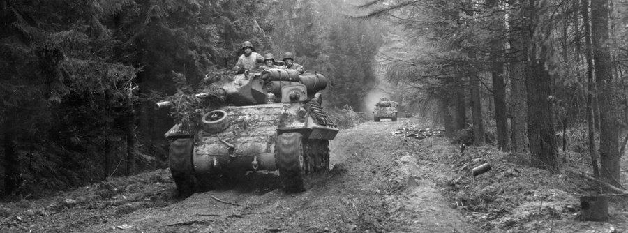 893d Tank Destroyer Battalion in the Hürtgen Forest (31 OCT-4 NOV 1944)