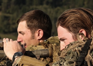 U.S. Army Snipers