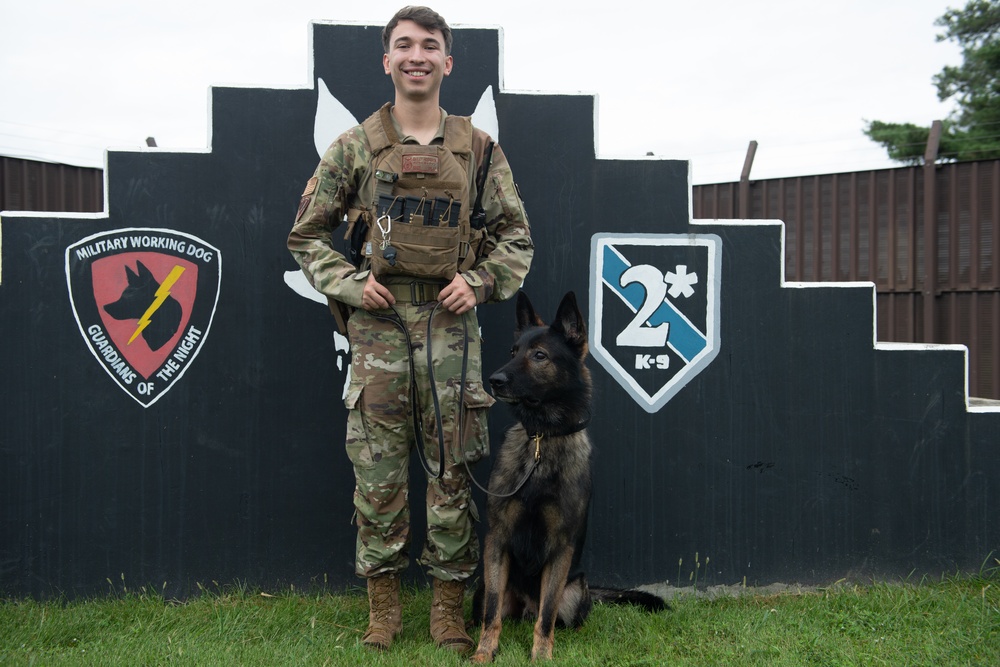 Yokota MWD handler adopts medically-retired K9