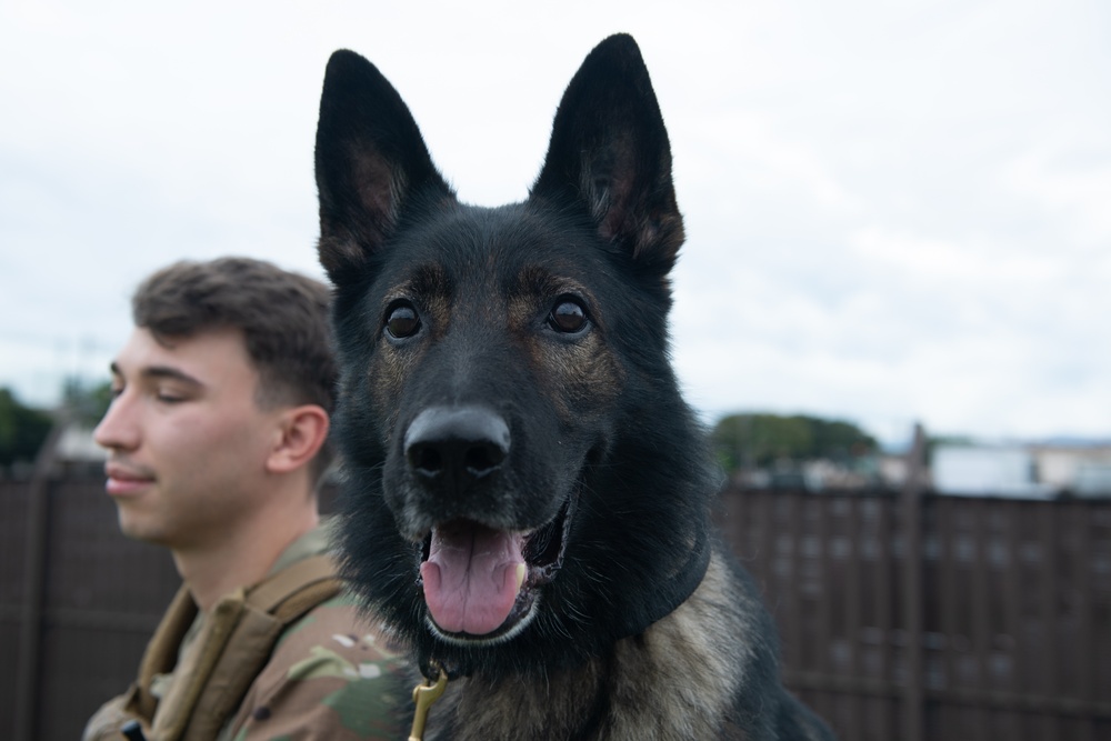 Yokota MWD handler adopts medically-retired K9