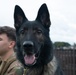 Yokota MWD handler adopts medically-retired K9