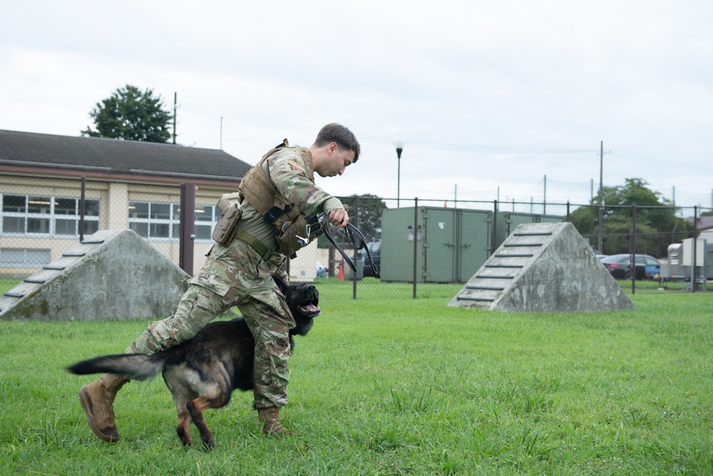 Yokota MWD handler adopts medically-retired K9