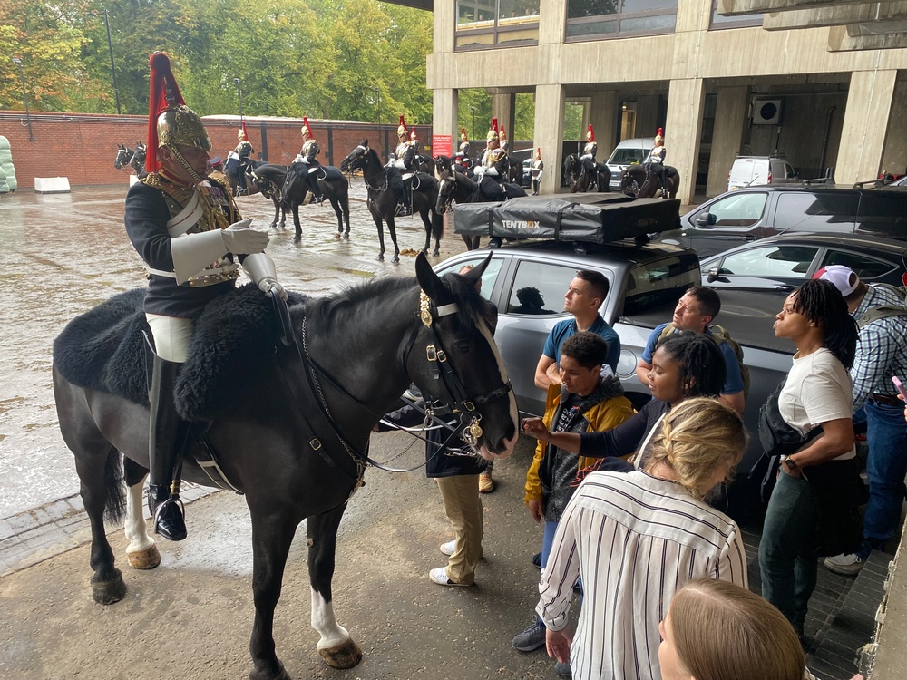 Royal Horses