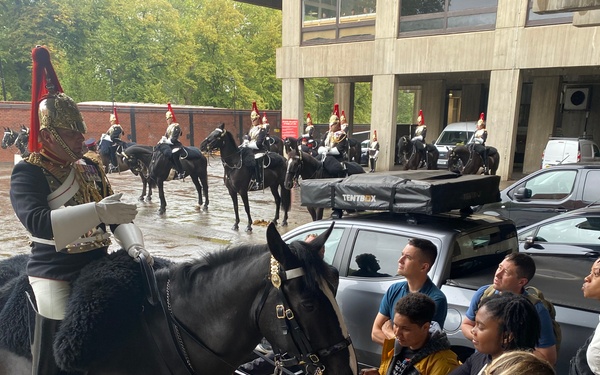 Royal Horses