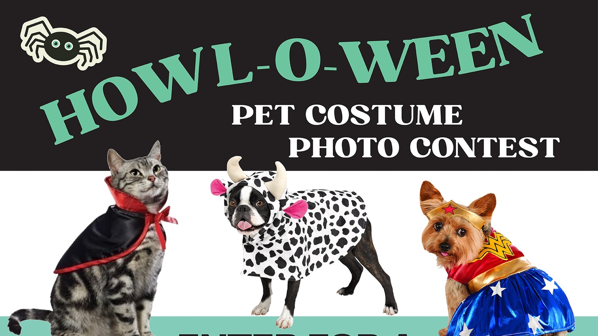 Howl-O-Ween pet costume competition