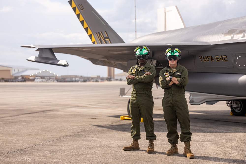 Marine Fighter Attack Squadron (VMFA) 542 portraits