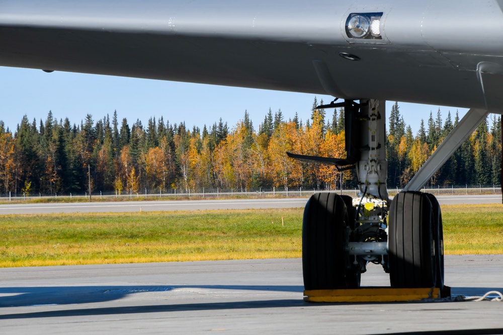 168th Wing Eielson Flight Line Foliage