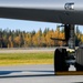 168th Wing Eielson Flight Line Foliage