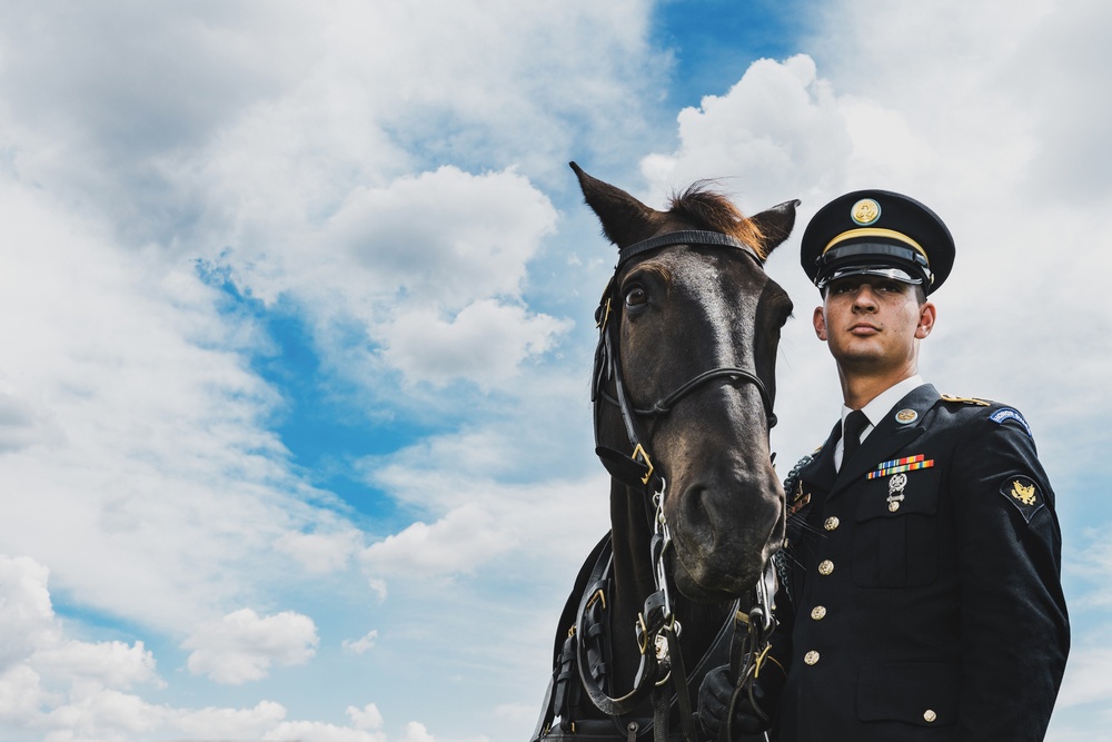 Caisson Platoon Military Horseman