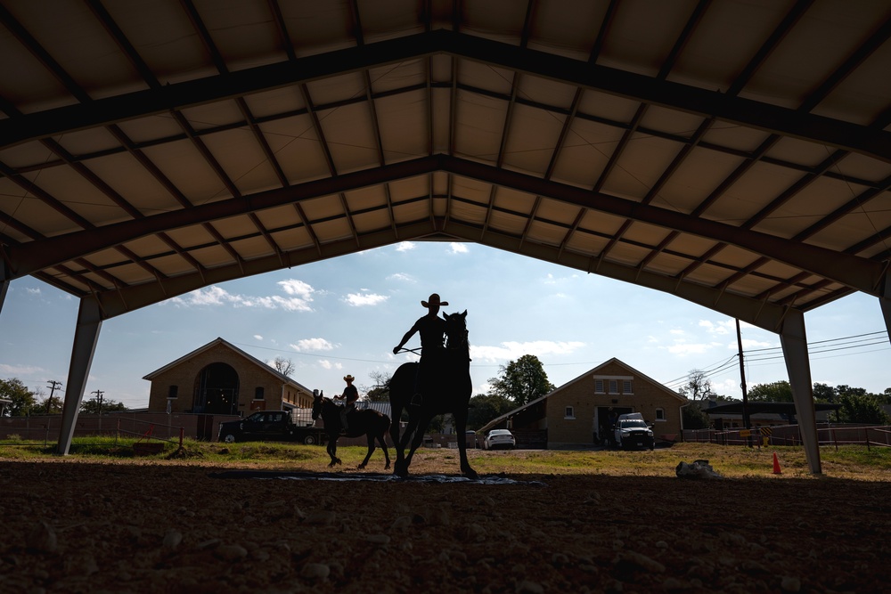 Caisson Platoon Military Horseman