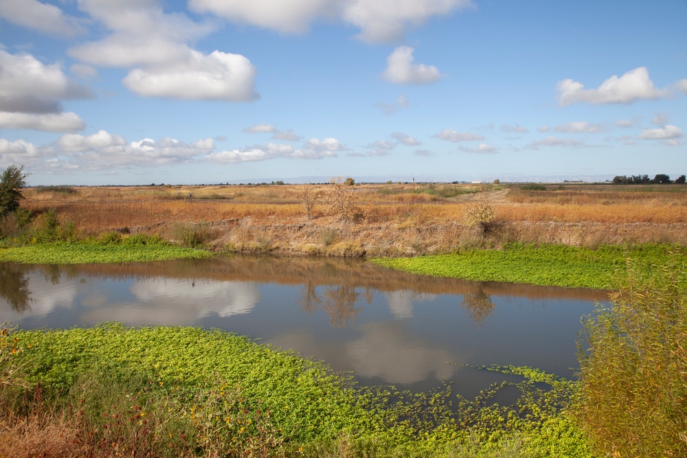 West Sacramento Levee Improvement Project progresses