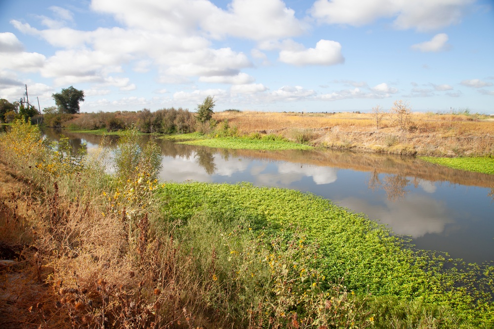 West Sacramento Levee Improvement Project progresses