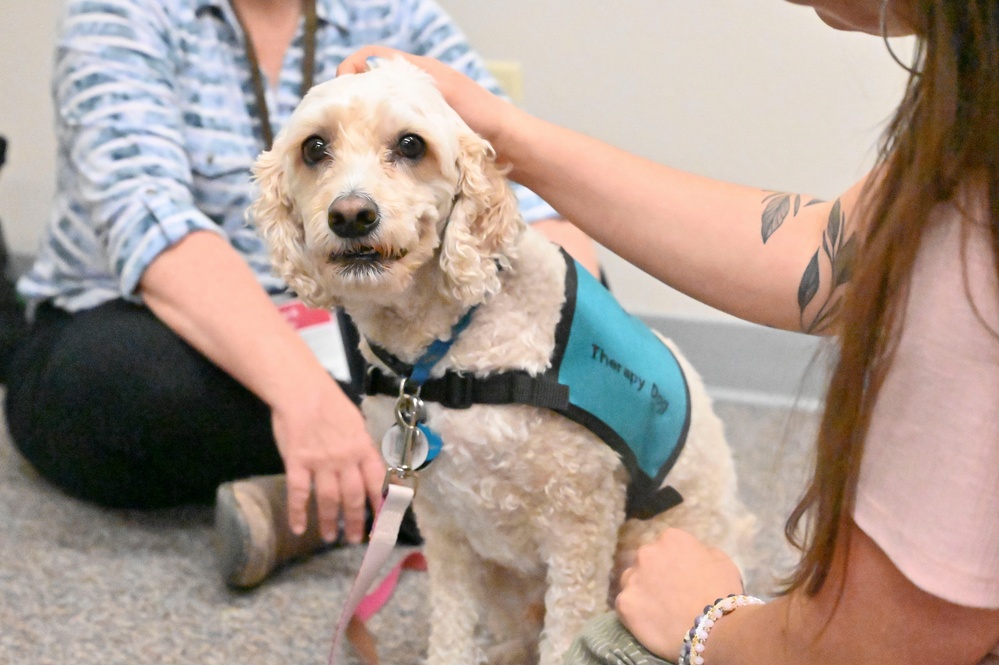 Therapy Dogs at visit SAPR