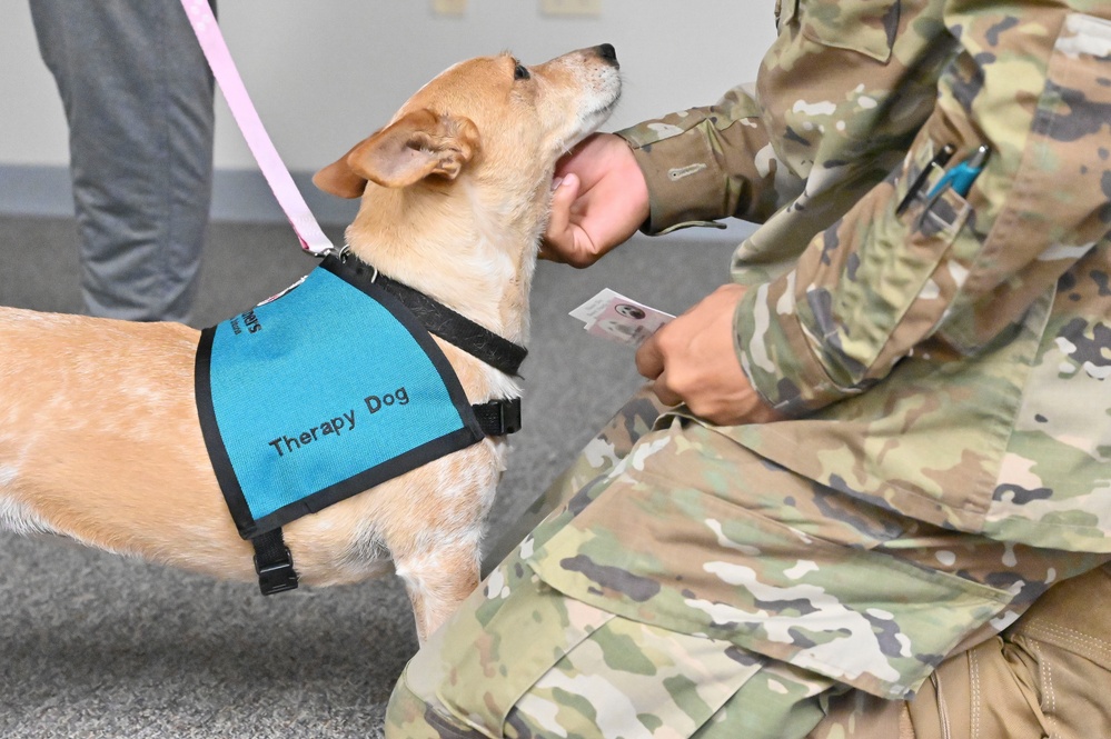 Therapy Dogs at visit SAPR