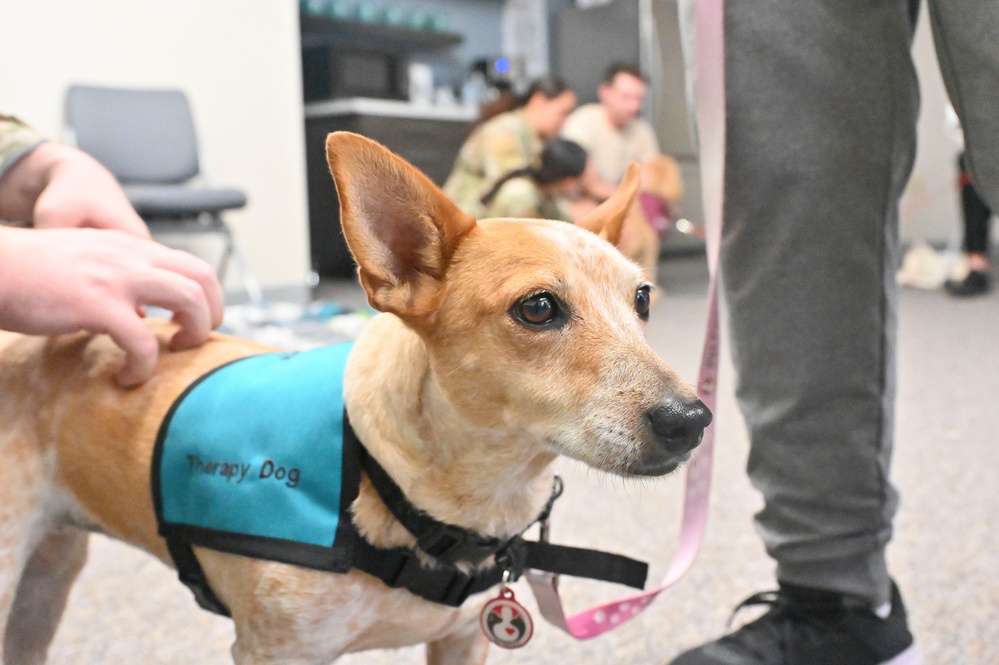 Therapy Dogs at visit SAPR