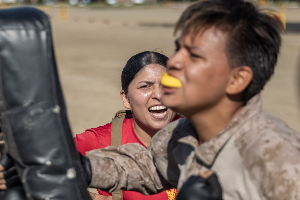 Charlie Company Confidence Course