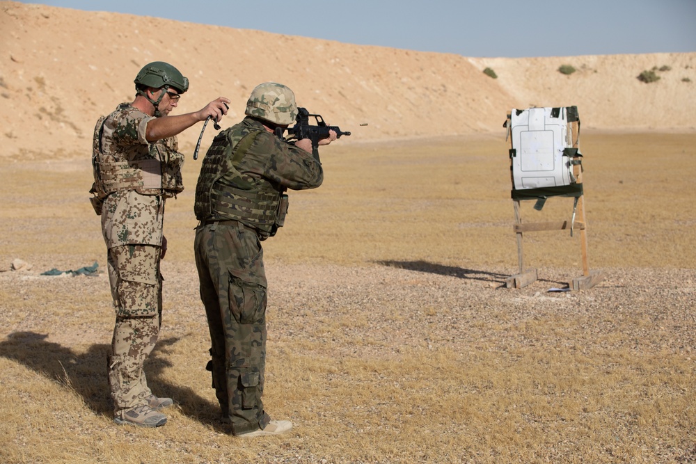Al Asad Air Base German Schützenschnur Qualification