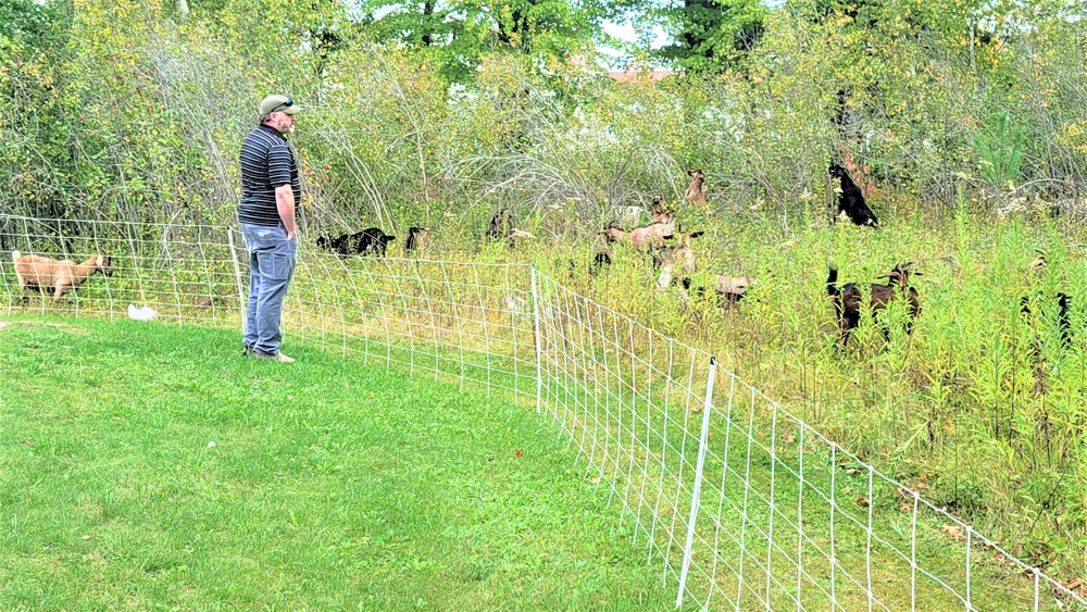 Energy Action Month: Fort McCoy uses goats to save on resources in fight against invasive plant species