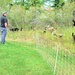 Energy Action Month: Fort McCoy uses goats to save on resources in fight against invasive plant species