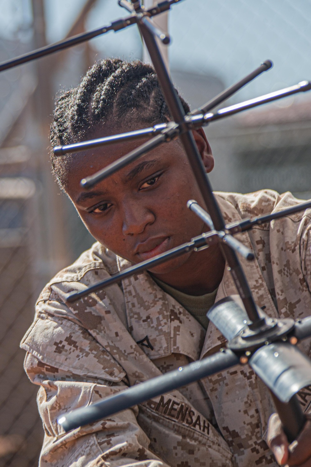 Spectrum warfare Marines set up gear during WTI 1-24
