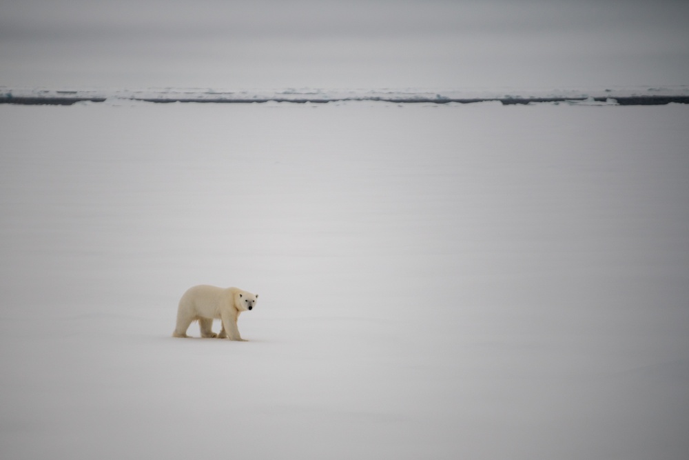 USCGC Healy Polar Operations