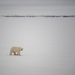 USCGC Healy Polar Operations