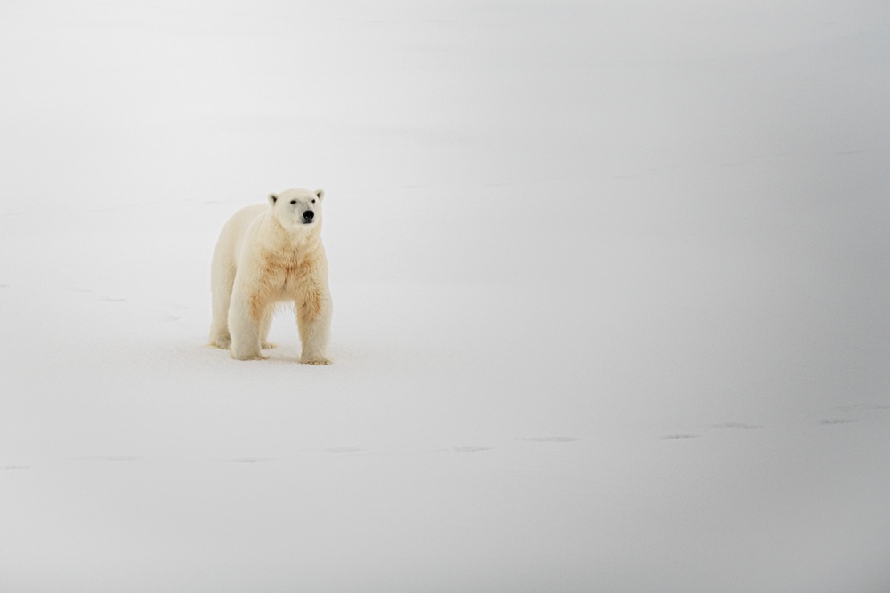 USCGC Healy Polar Operations